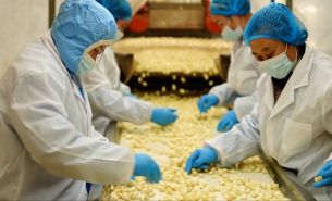 探索大蒜自動(dòng)配重機(jī)精準(zhǔn)配重及自動(dòng)輸送包裝工位的優(yōu)勢(shì)