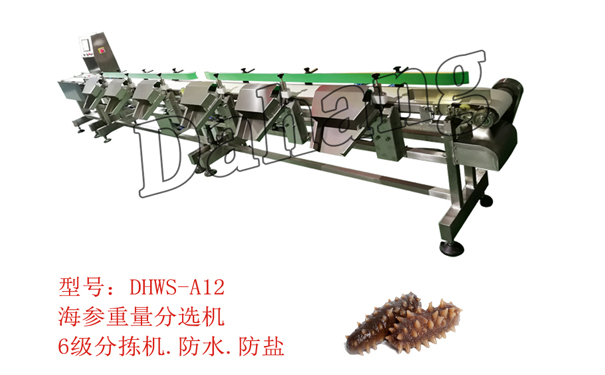 1552552304113939.jpg 海參分選機(jī).jpg